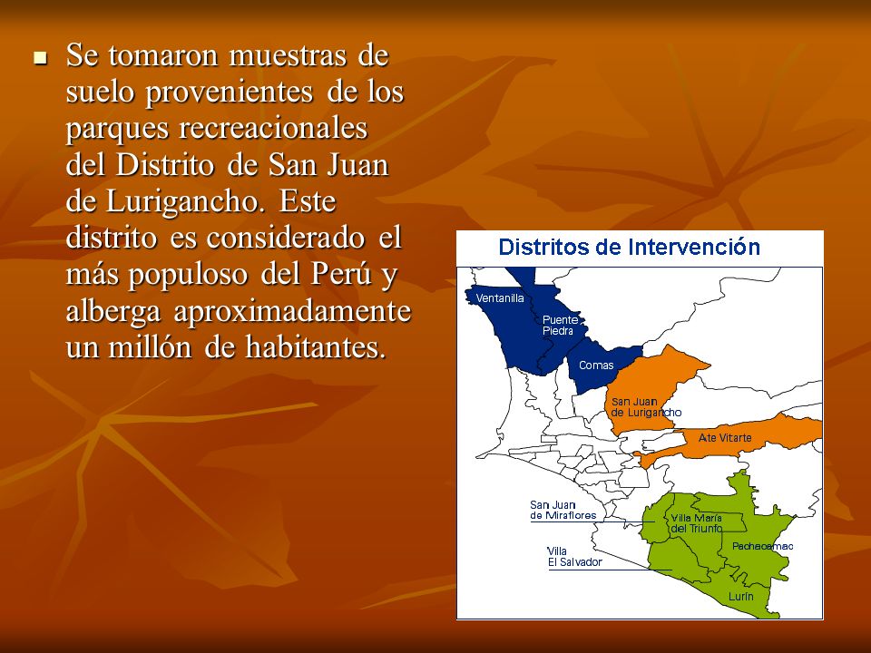 Se tomaron muestras de suelo provenientes de los parques recreacionales del Distrito de San Juan de Lurigancho.