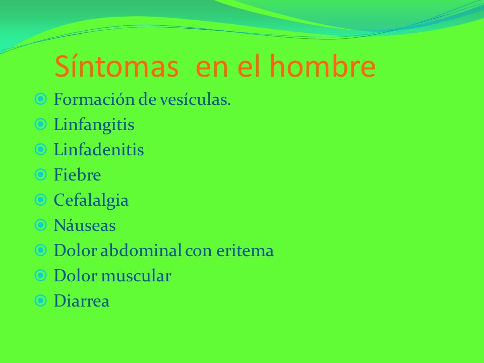 Síntomas en el hombre Formación de vesículas. Linfangitis Linfadenitis