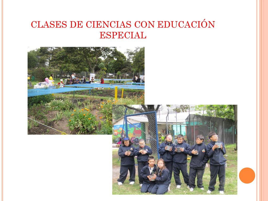 CLASES DE CIENCIAS CON EDUCACIÓN ESPECIAL