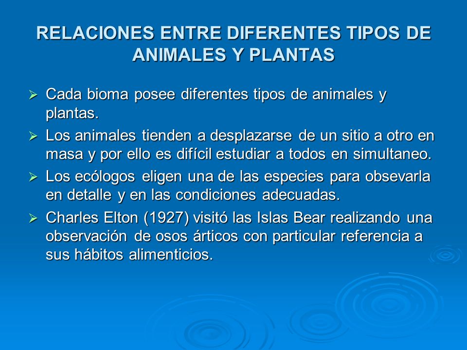 RELACIONES ENTRE DIFERENTES TIPOS DE ANIMALES Y PLANTAS