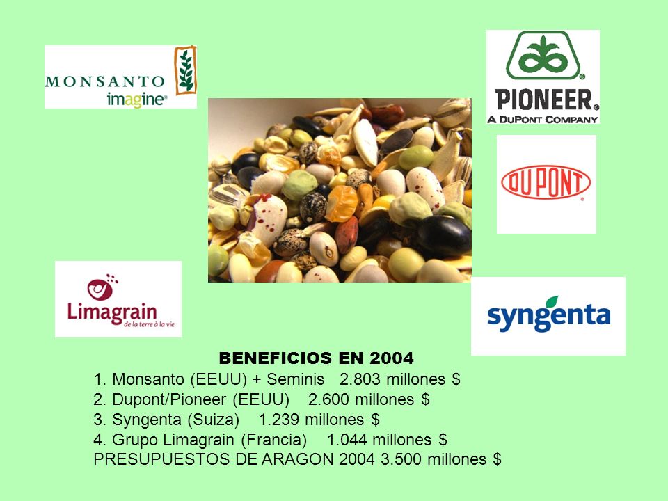 BENEFICIOS EN Monsanto (EEUU) + Seminis millones $ 2. Dupont/Pioneer (EEUU) millones $