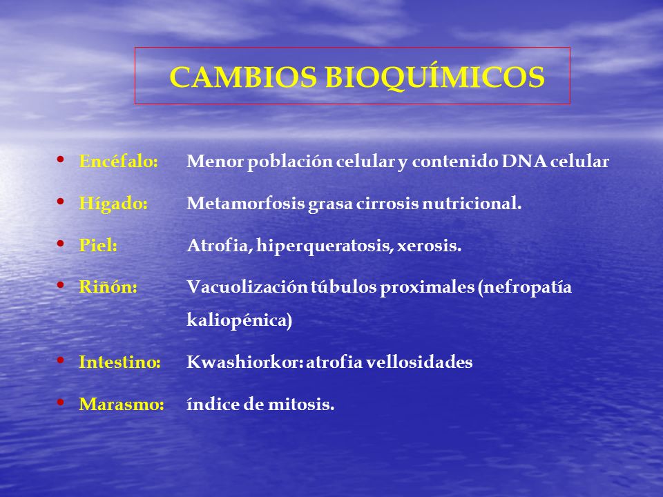 CAMBIOS BIOQUÍMICOS Encéfalo: Menor población celular y contenido DNA celular. Hígado: Metamorfosis grasa cirrosis nutricional.