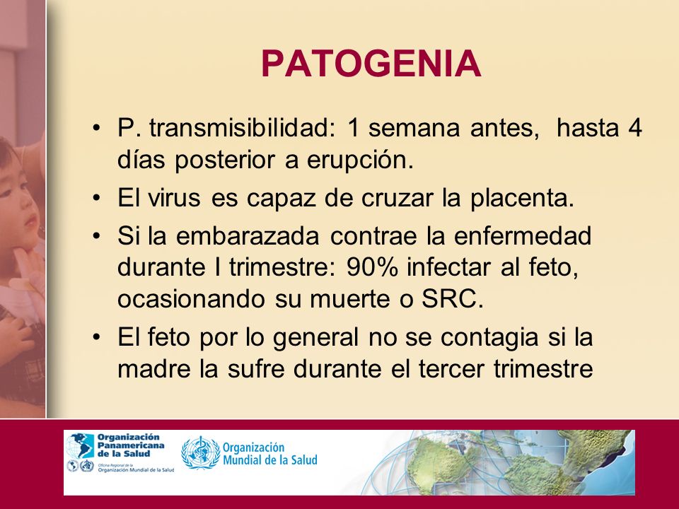 PATOGENIA P. transmisibilidad: 1 semana antes, hasta 4 días posterior a erupción. El virus es capaz de cruzar la placenta.