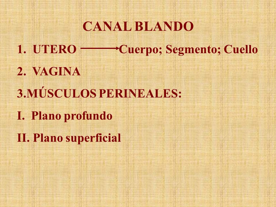 CANAL BLANDO 1. UTERO Cuerpo; Segmento; Cuello 2. VAGINA