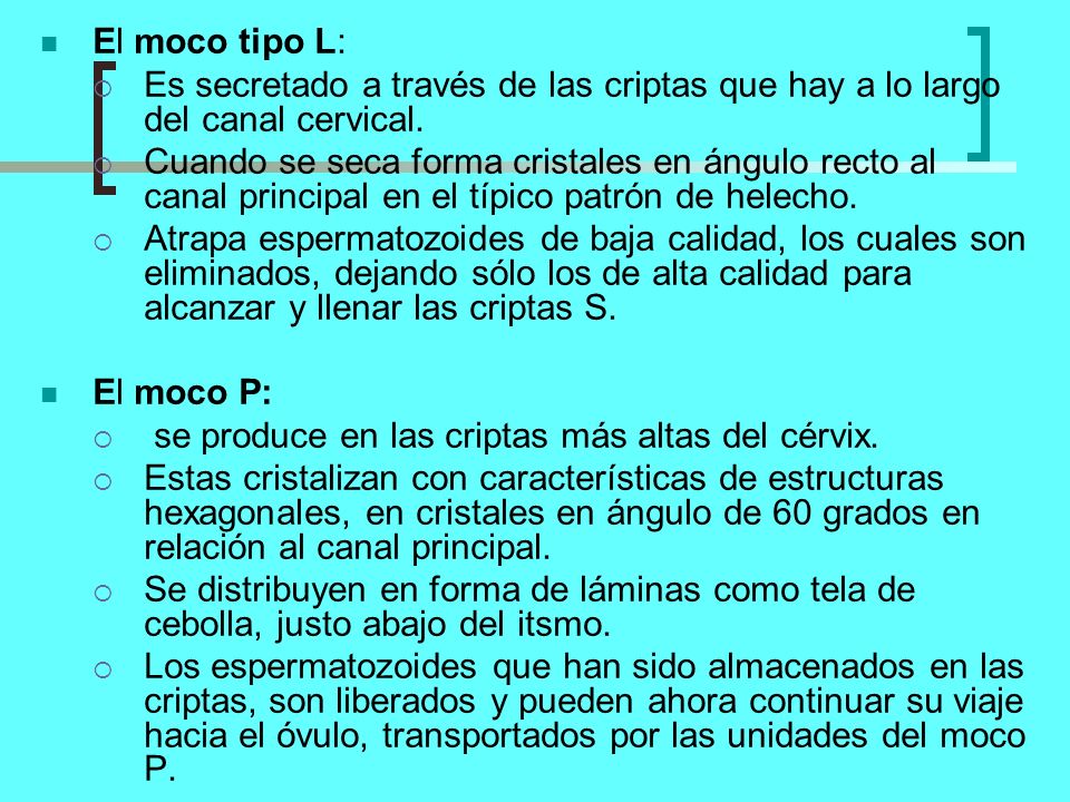 El moco tipo L: Es secretado a través de las criptas que hay a lo largo del canal cervical.