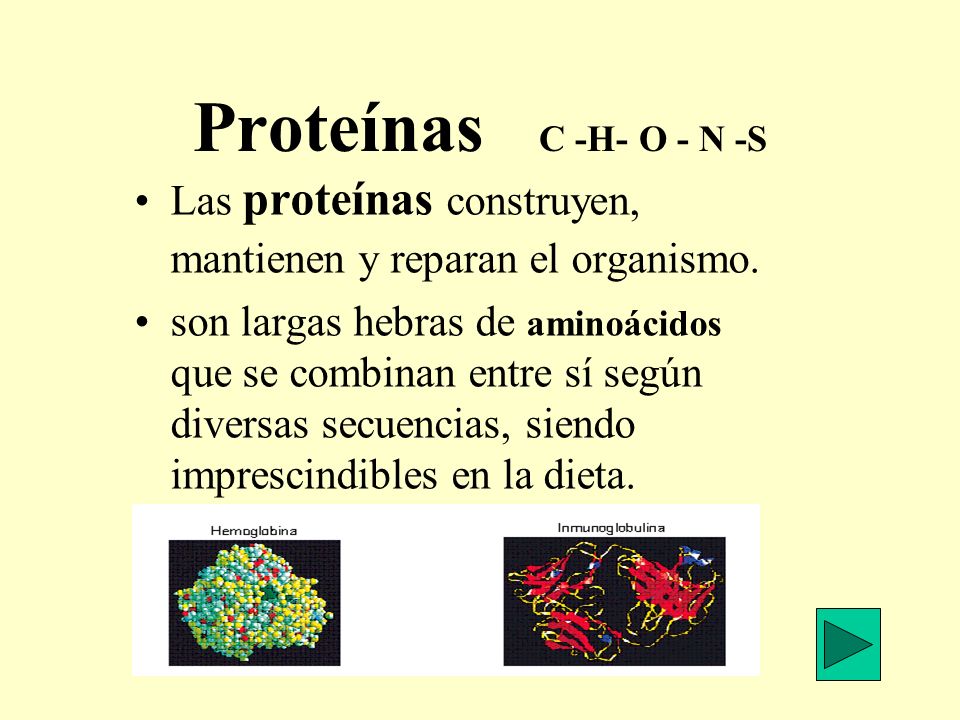 Proteínas C -H- O - N -S Las proteínas construyen, mantienen y reparan el organismo.