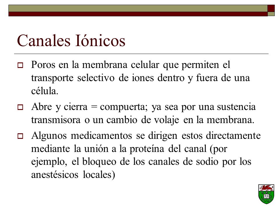 Canales Iónicos Poros en la membrana celular que permiten el transporte selectivo de iones dentro y fuera de una célula.