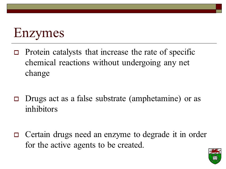 Enzymes Protein catalysts that increase the rate of specific chemical reactions without undergoing any net change.