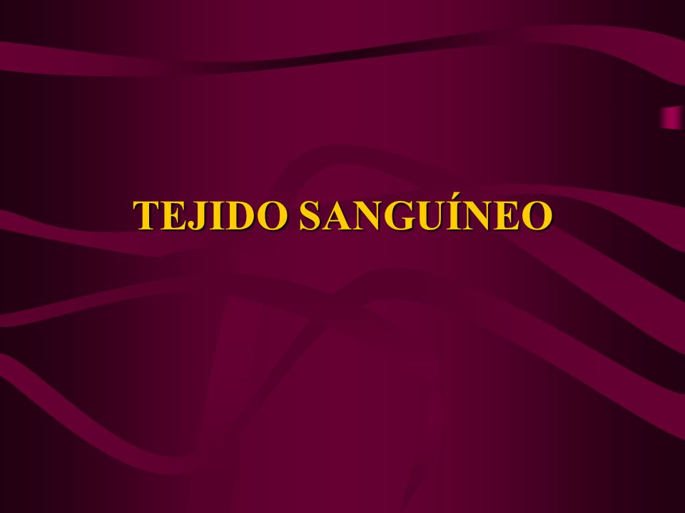TEJIDO SANGUÍNEO