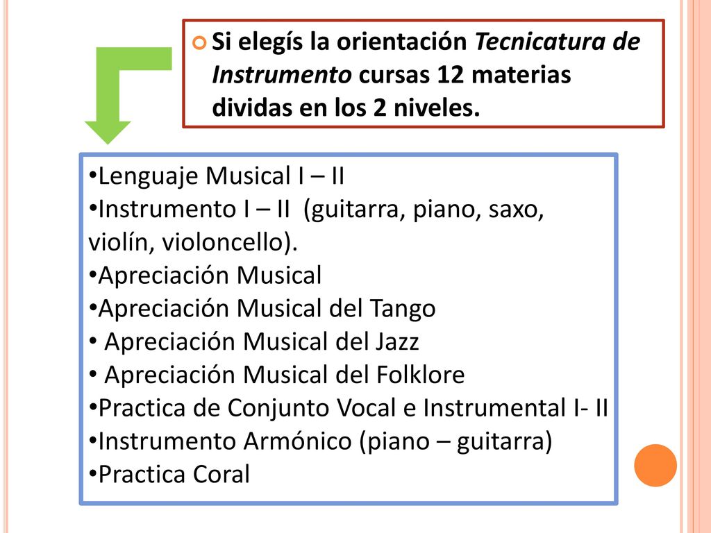 Si elegís la orientación Tecnicatura de Instrumento cursas 12 materias dividas en los 2 niveles.