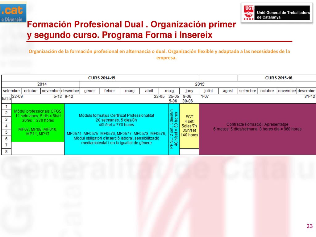 Formación Profesional Dual. Organización primer y segundo curso