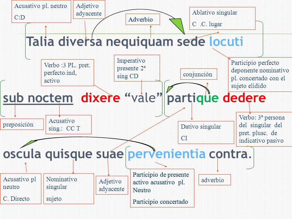Acusativo pl. neutro C:D. Adjetivo adyacente. Ablativo singular. C .C. lugar. Adverbio. Adverbio.