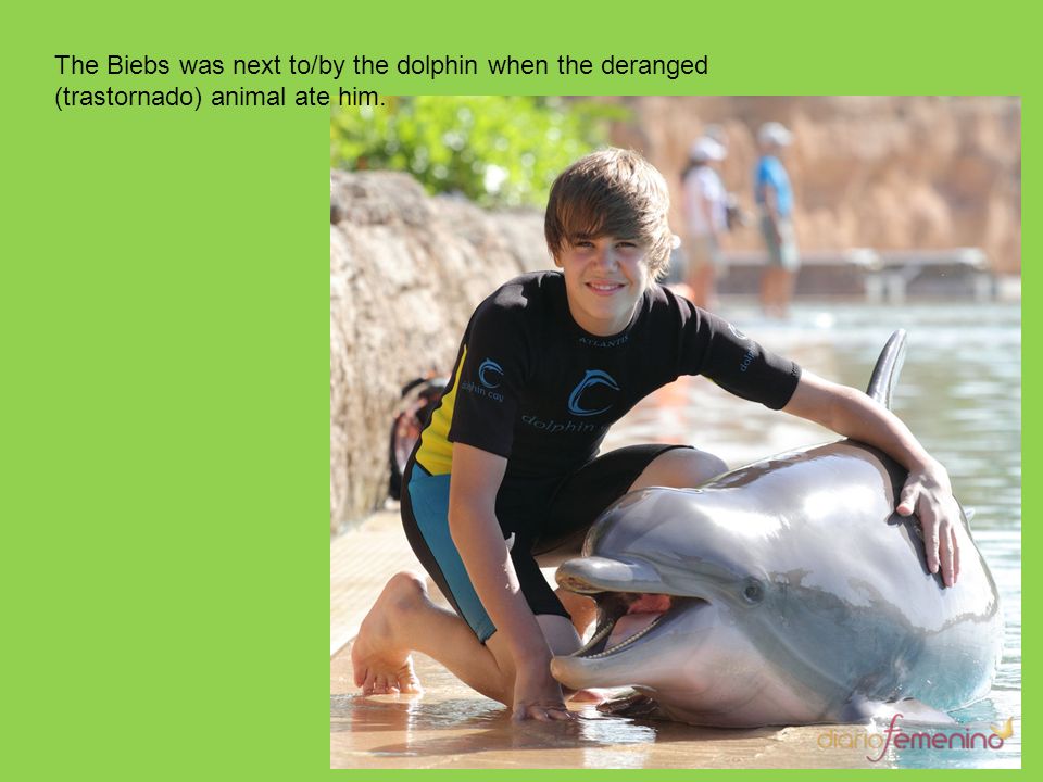The Biebs was next to/by the dolphin when the deranged (trastornado) animal ate him.