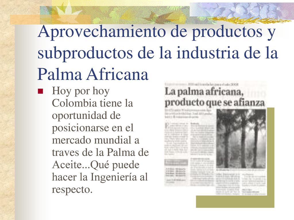 Aprovechamiento de productos y subproductos de la industria de la Palma Africana