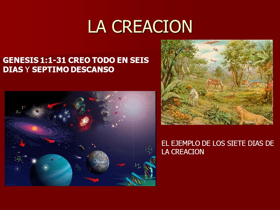 LA CREACION GENESIS 1:1-31 CREO TODO EN SEIS DIAS Y SEPTIMO DESCANSO