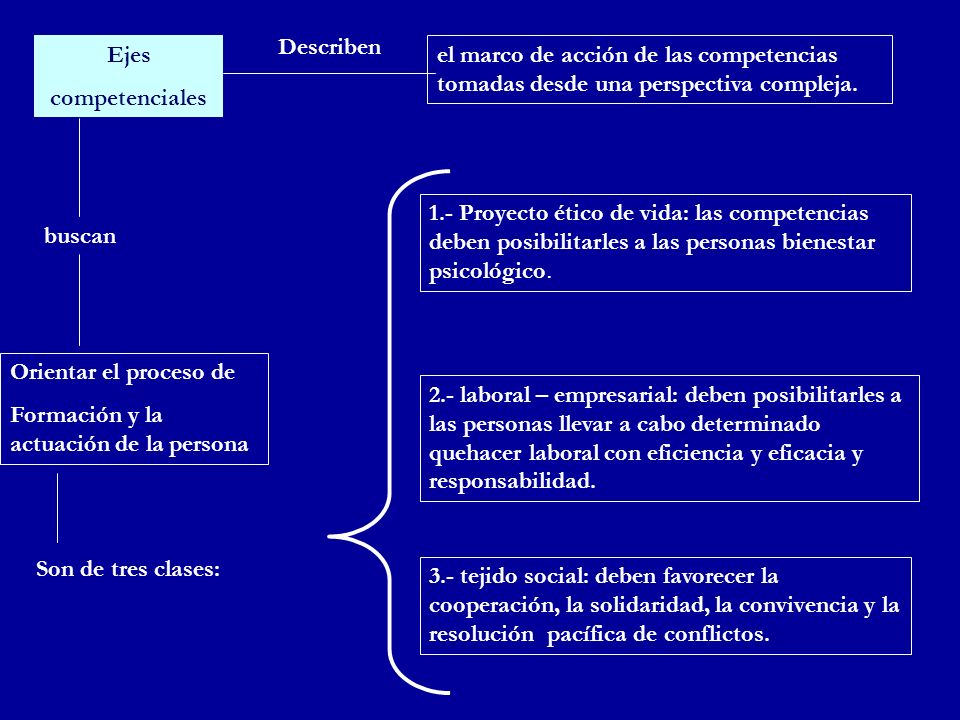 Describen Ejes. competenciales. el marco de acción de las competencias tomadas desde una perspectiva compleja.