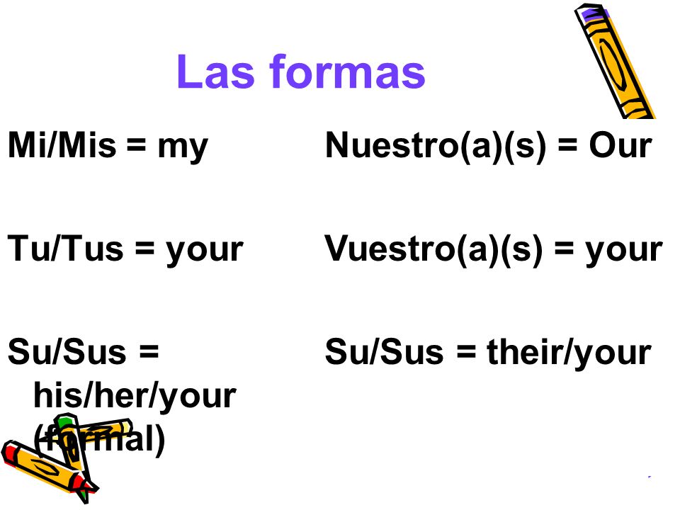Las formas Mi/Mis = my Tu/Tus = your Su/Sus = his/her/your (formal)