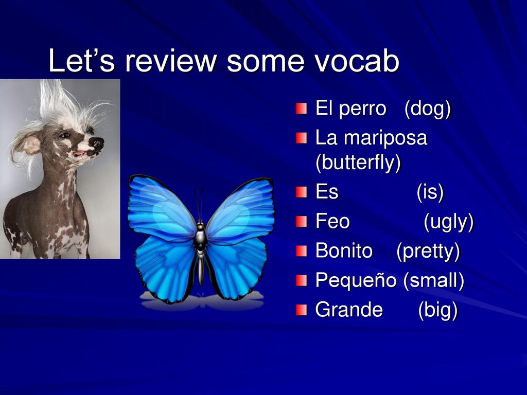 Let’s review some vocab