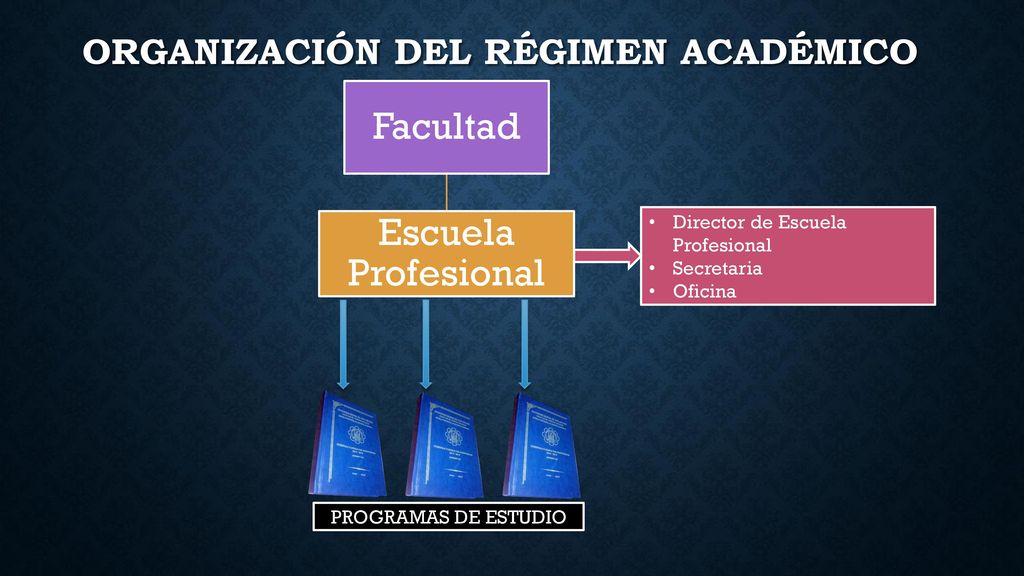 Organización del régimen académico