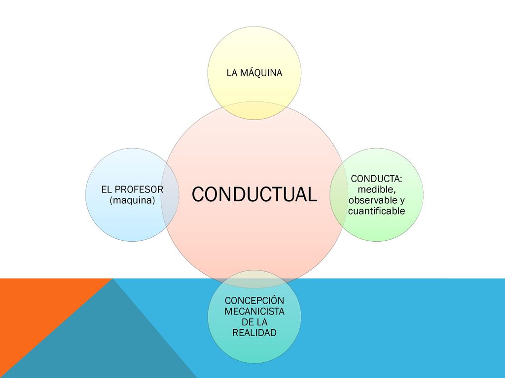 CONDUCTUAL LA MÁQUINA CONDUCTA: medible, observable y cuantificable