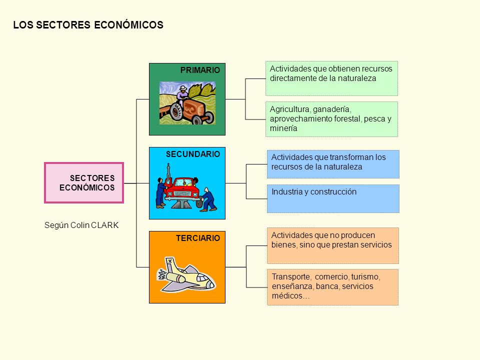 LOS SECTORES ECONÓMICOS
