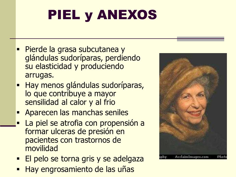 PIEL y ANEXOS Pierde la grasa subcutanea y glándulas sudoríparas, perdiendo su elasticidad y produciendo arrugas.
