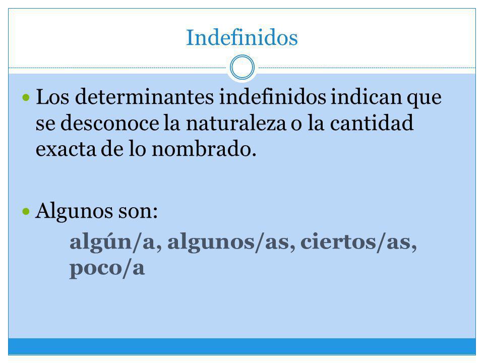 Indefinidos Los determinantes indefinidos indican que se desconoce la naturaleza o la cantidad exacta de lo nombrado.