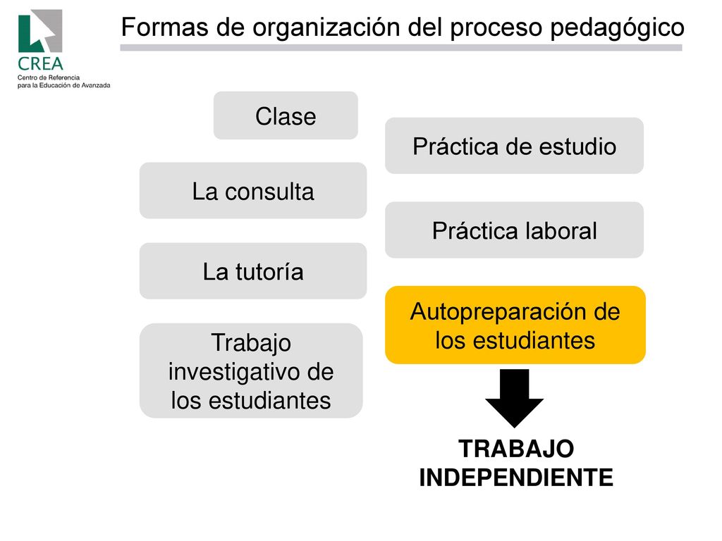 Formas de organización del proceso pedagógico