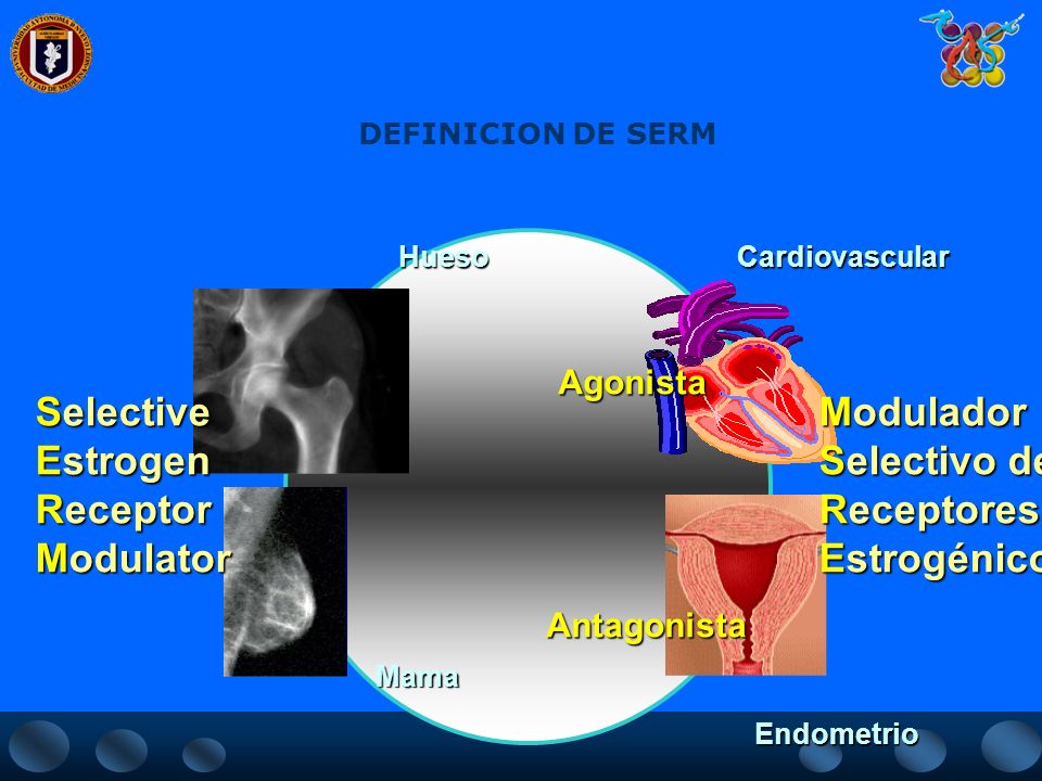 Selective Estrogen Receptor Modulator Modulador Selectivo de
