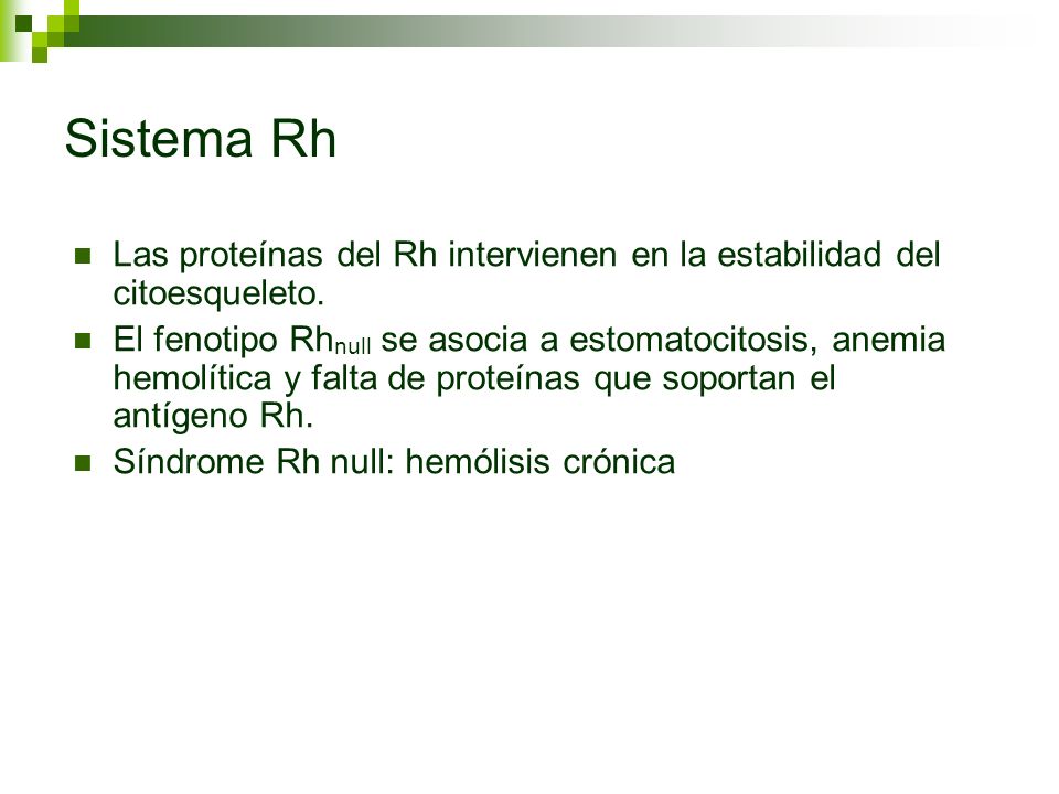 Sistema Rh Las proteínas del Rh intervienen en la estabilidad del citoesqueleto.