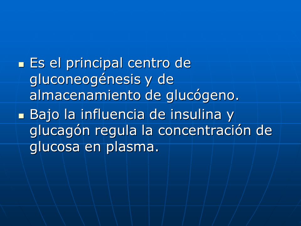 Es el principal centro de gluconeogénesis y de almacenamiento de glucógeno.