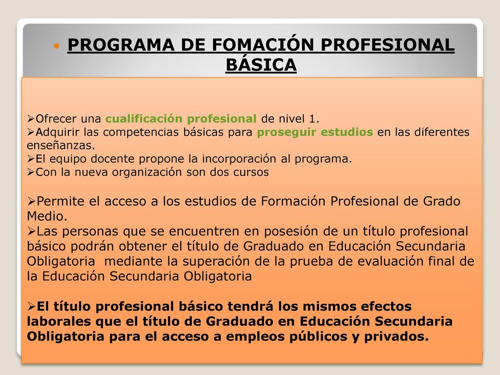 PROGRAMA DE FOMACIÓN PROFESIONAL BÁSICA