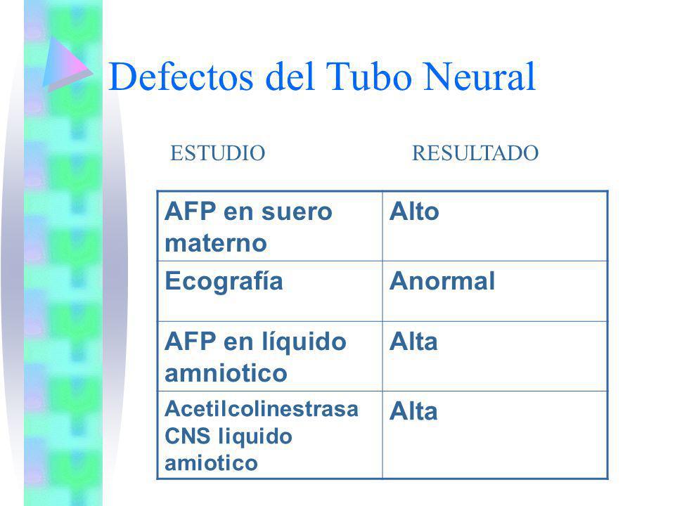 Defectos del Tubo Neural