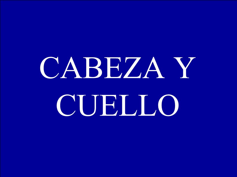 CABEZA Y CUELLO