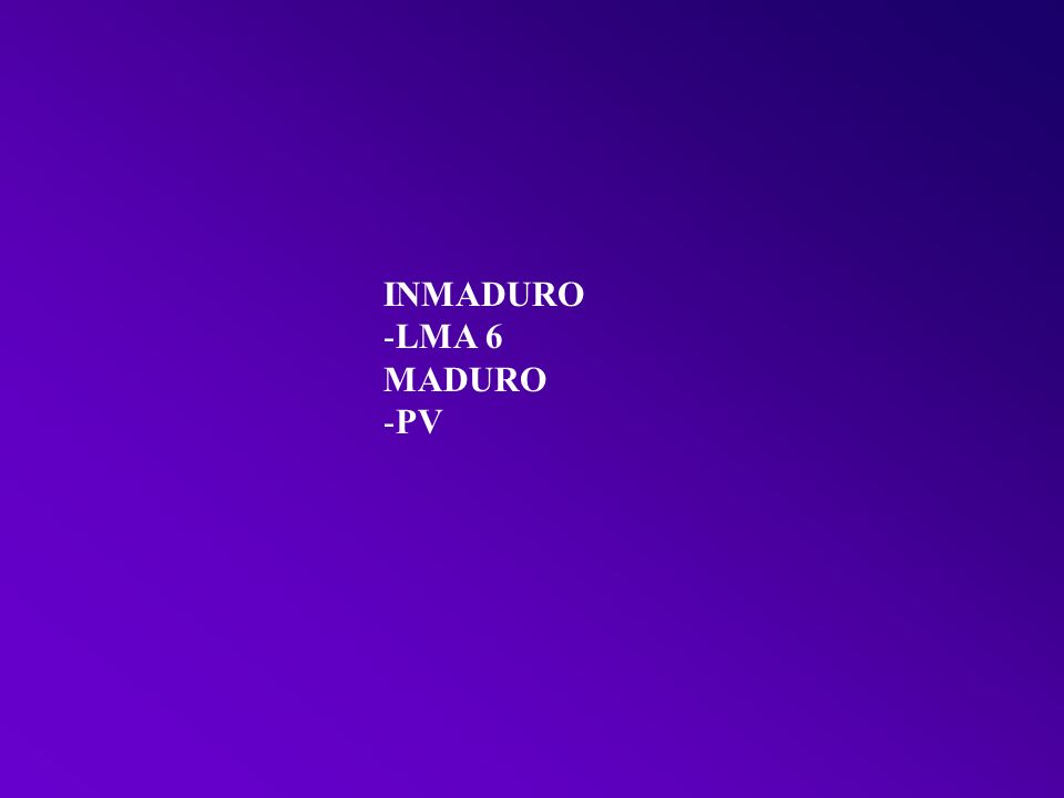 INMADURO LMA 6 MADURO PV