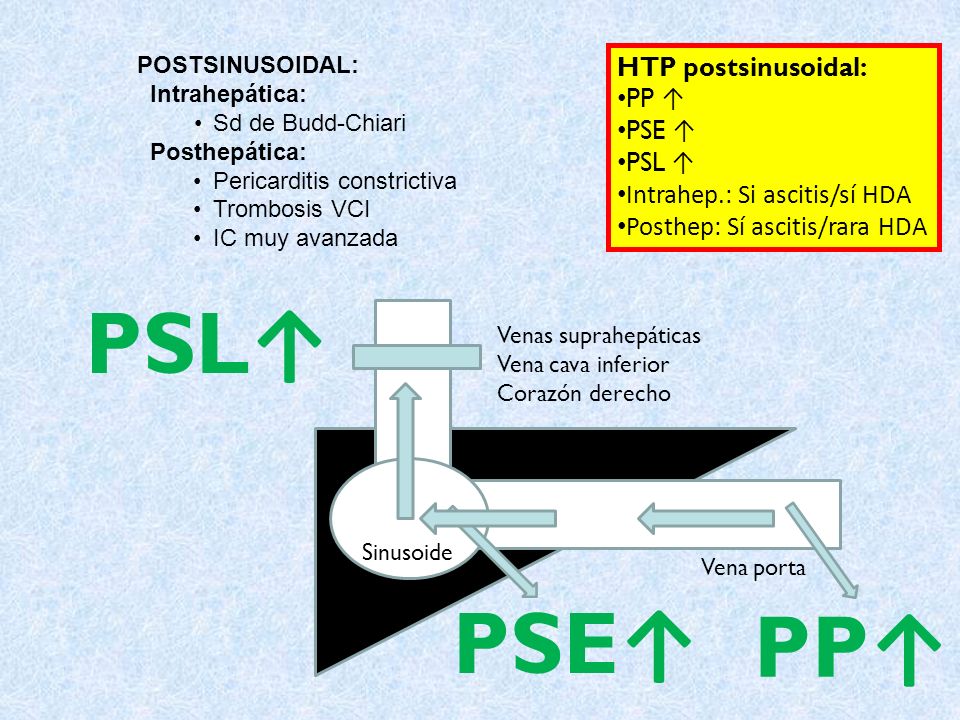 PSL↑ PSE↑ PP↑ HTP postsinusoidal: PP ↑ PSE ↑ PSL ↑