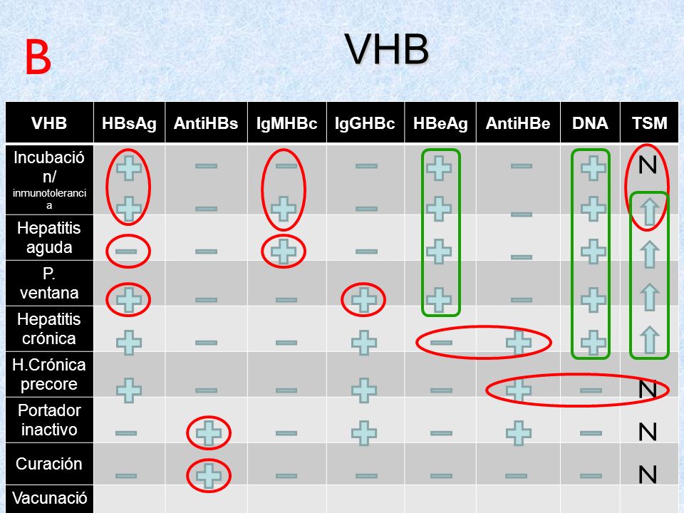 B VHB N N N N VHB DNA TSM HBsAg AntiHBs IgMHBc IgGHBc HBeAg AntiHBe
