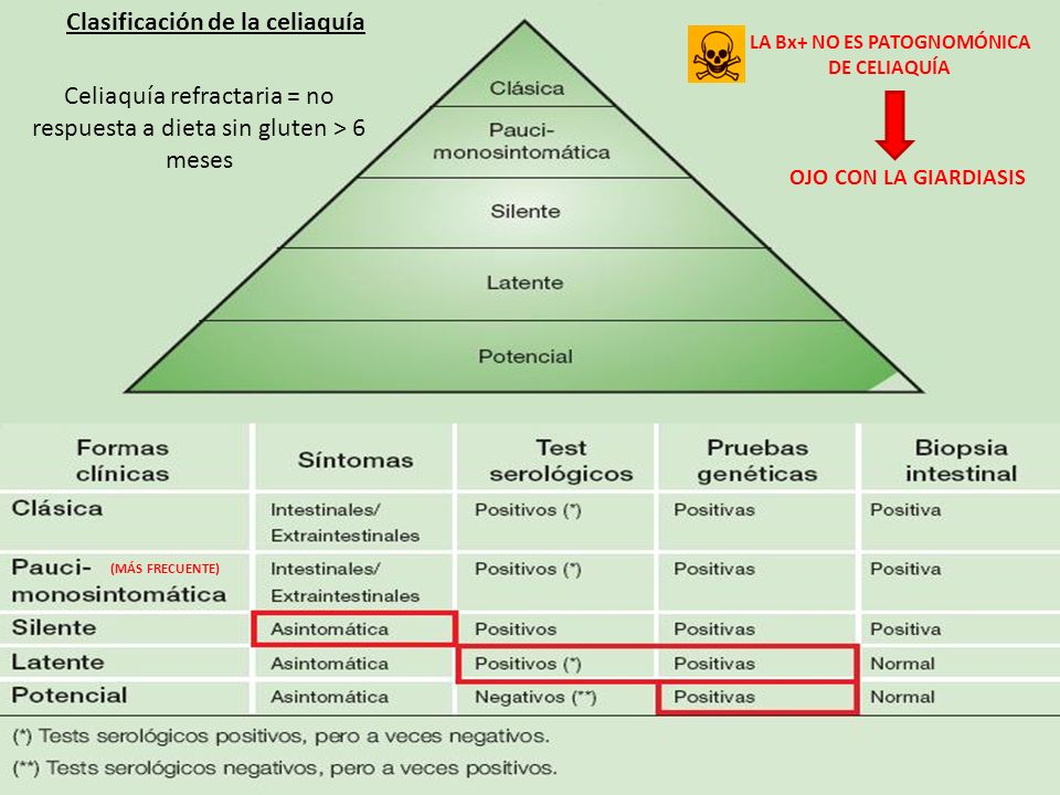 Clasificación de la celiaquía LA Bx+ NO ES PATOGNOMÓNICA DE CELIAQUÍA