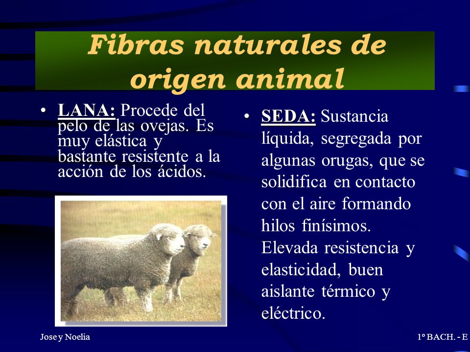Fibras naturales de origen animal