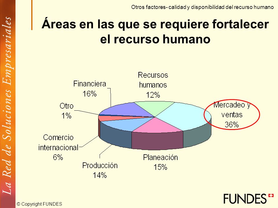 Áreas en las que se requiere fortalecer el recurso humano