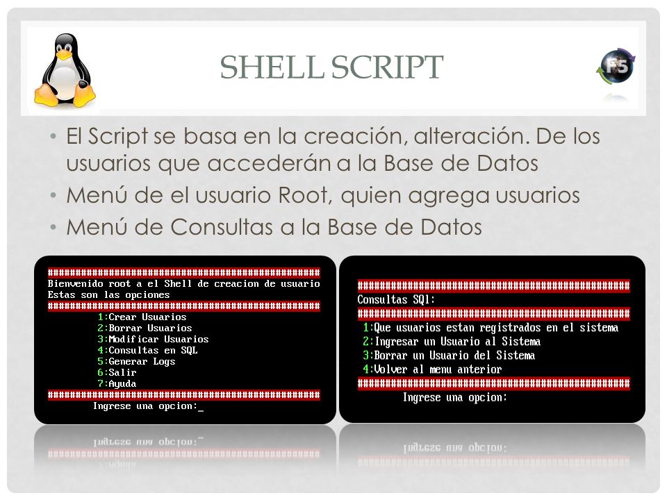 Shell Script El Script se basa en la creación, alteración. De los usuarios que accederán a la Base de Datos.