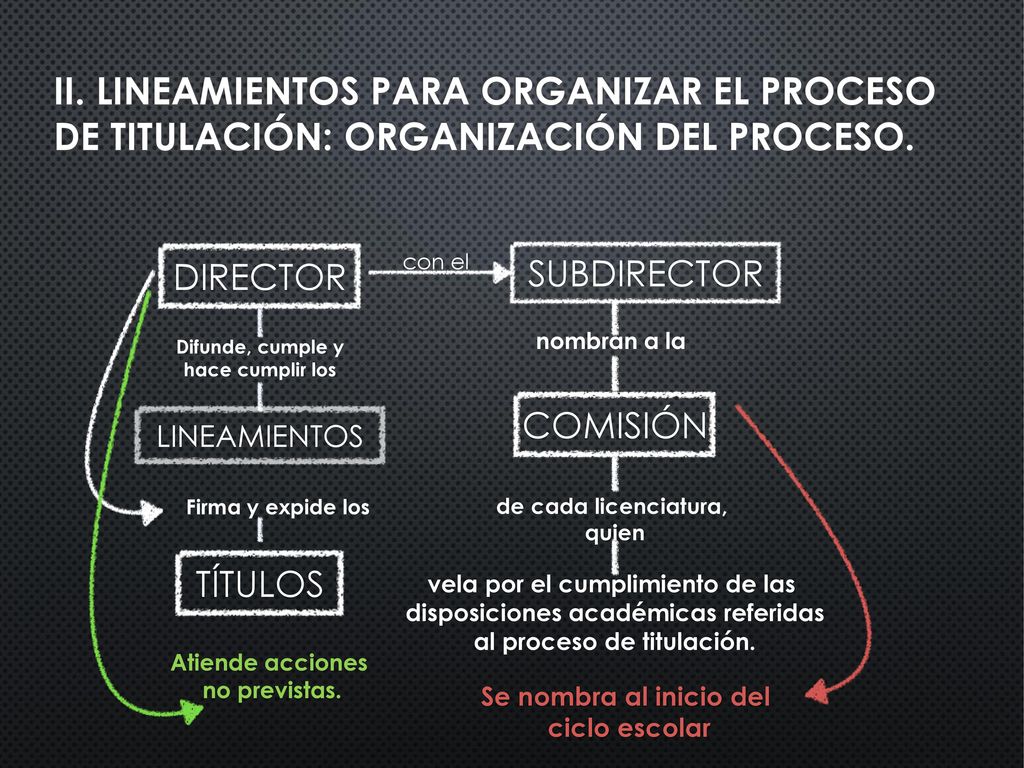 II. Lineamientos para organizar el proceso de titulación: organización del proceso.