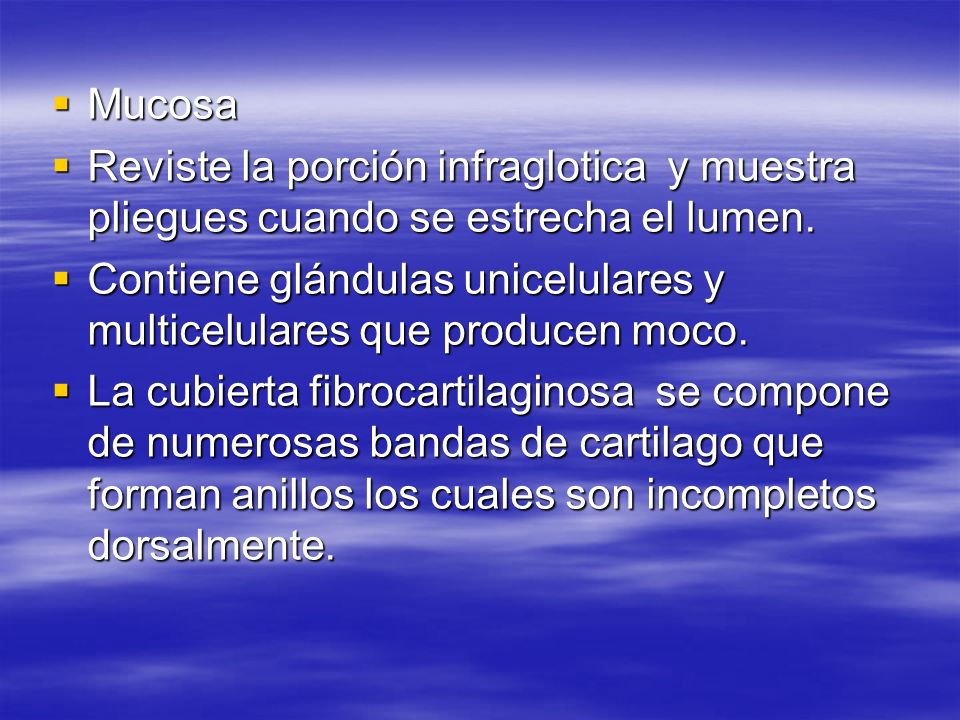Mucosa Reviste la porción infraglotica y muestra pliegues cuando se estrecha el lumen.