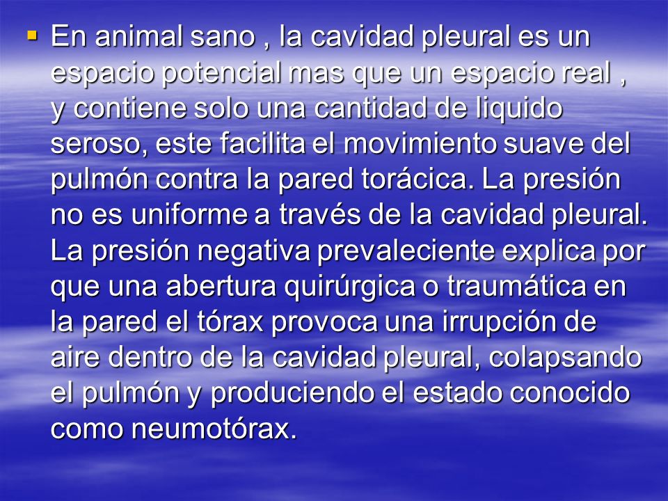 En animal sano , la cavidad pleural es un espacio potencial mas que un espacio real , y contiene solo una cantidad de liquido seroso, este facilita el movimiento suave del pulmón contra la pared torácica.