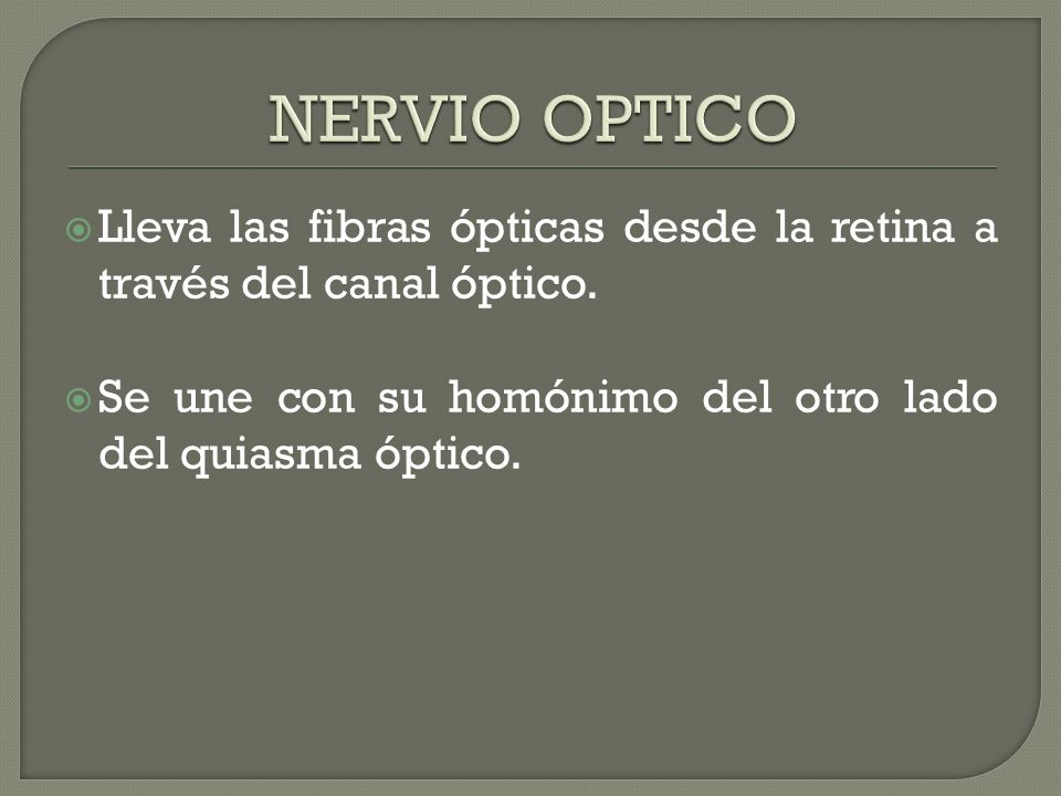 NERVIO OPTICO Lleva las fibras ópticas desde la retina a través del canal óptico.