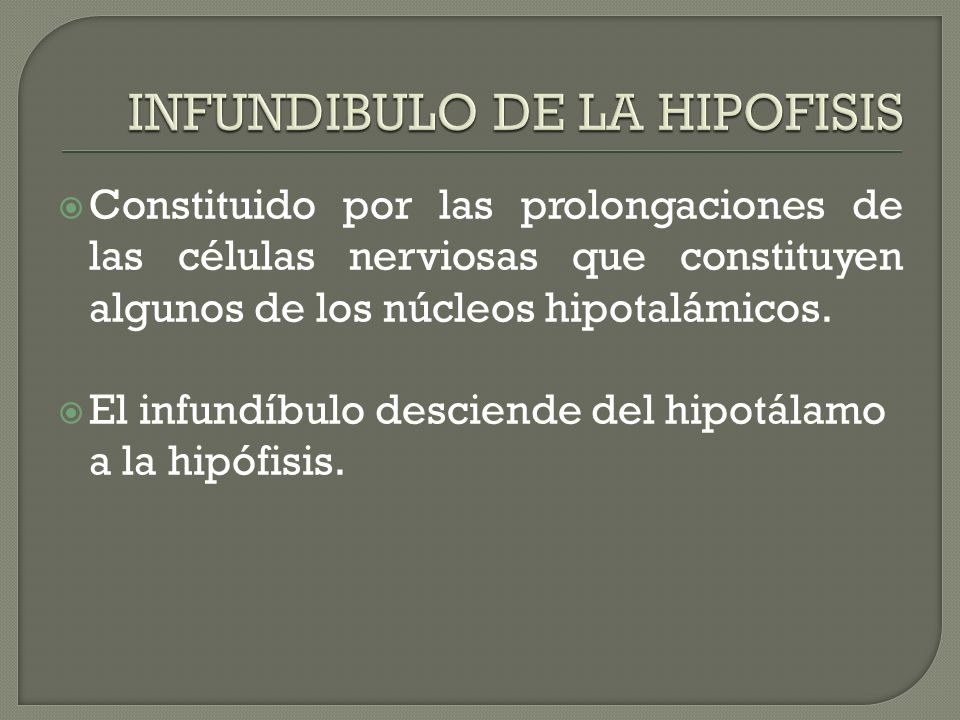 INFUNDIBULO DE LA HIPOFISIS