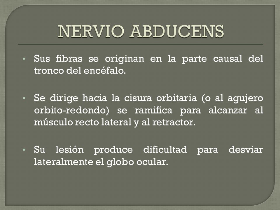 NERVIO ABDUCENS Sus fibras se originan en la parte causal del tronco del encéfalo.