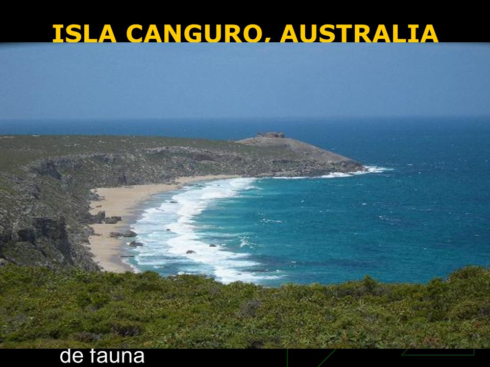 ISLA CANGURO, AUSTRALIA