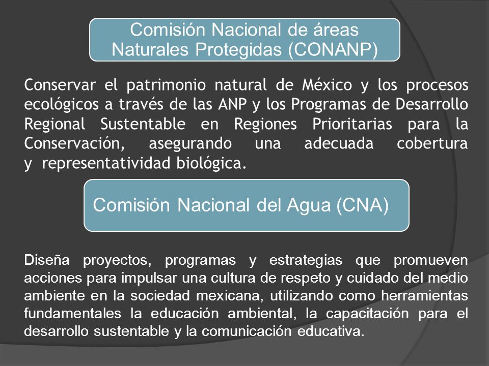Comisión Nacional del Agua (CNA)
