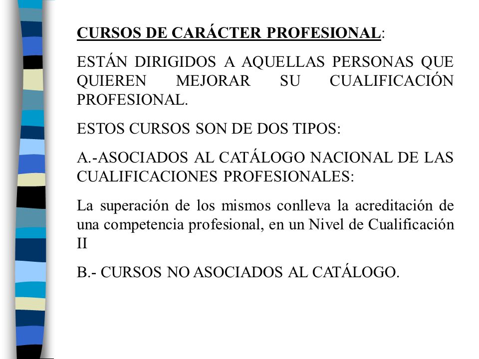CURSOS DE CARÁCTER PROFESIONAL: